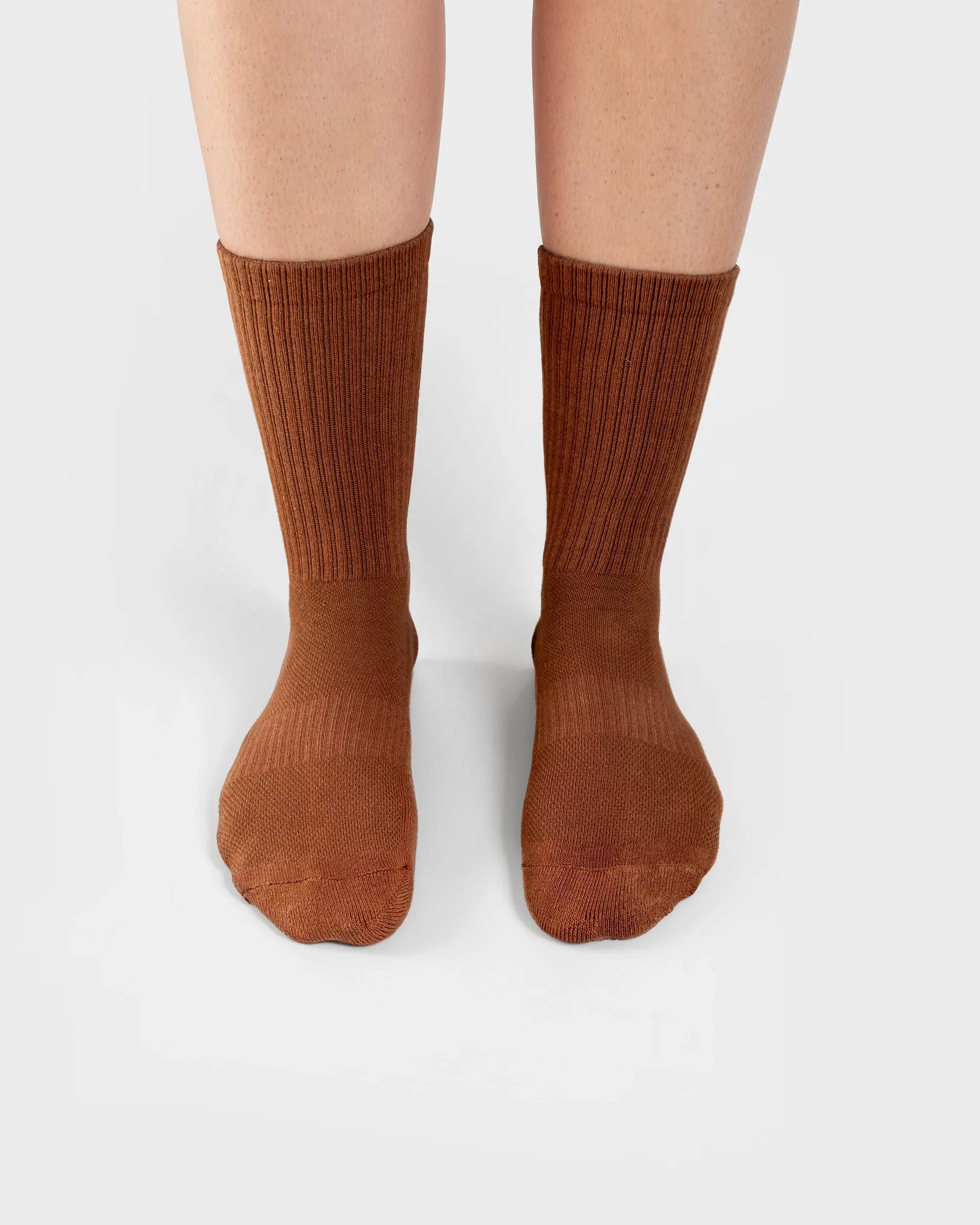 Wanderlust Socks in Latte