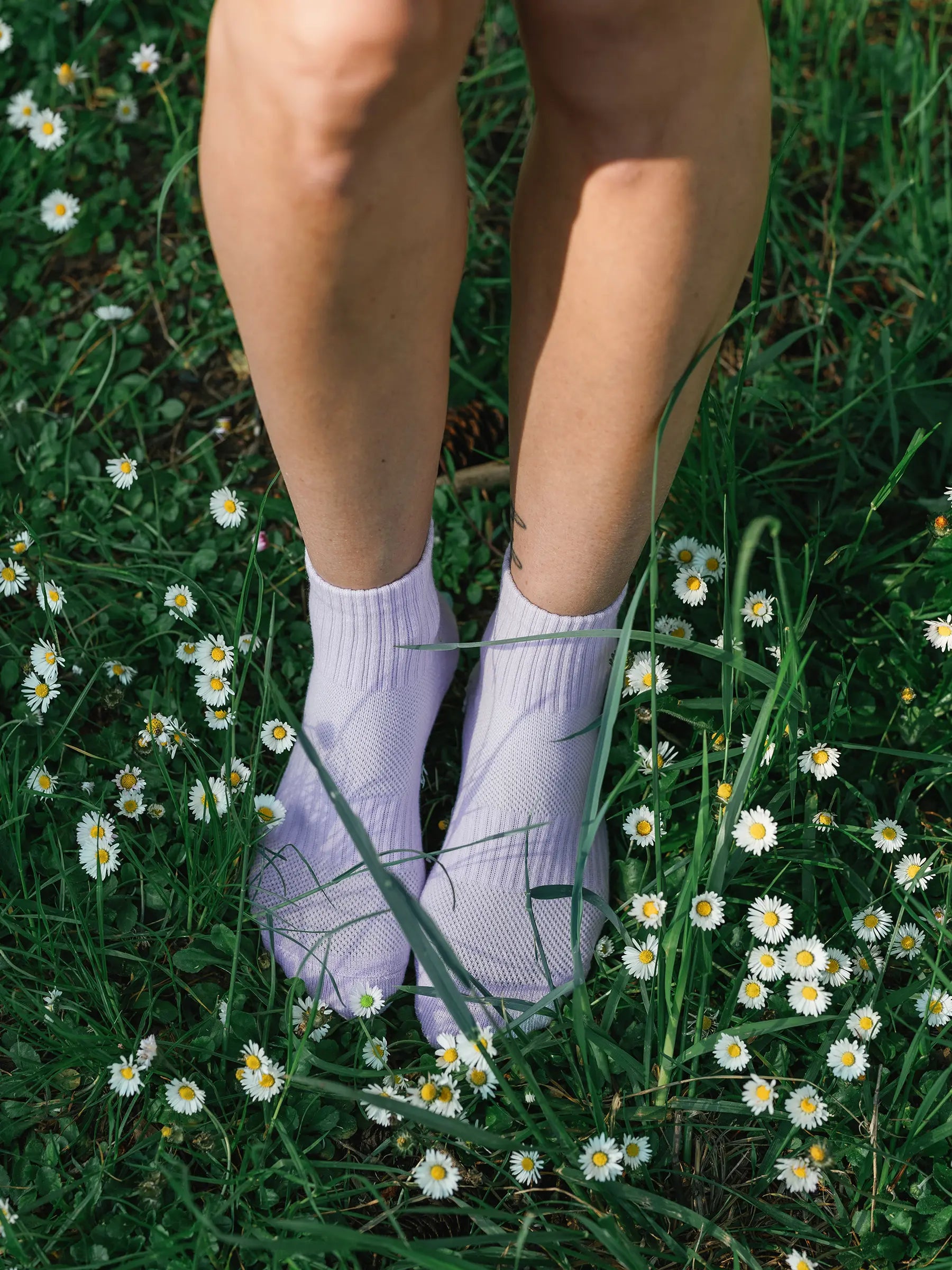 Wanderlust Shortie in Parma Violet